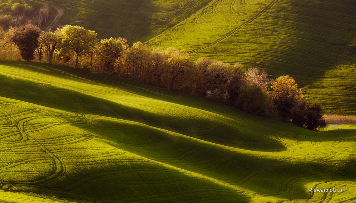 fot. ewaipiotr.pl