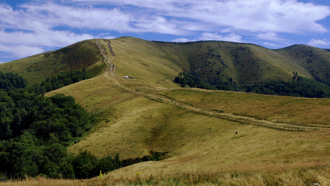Na Połoninie Krasnej (fot. Paweł Klimek)