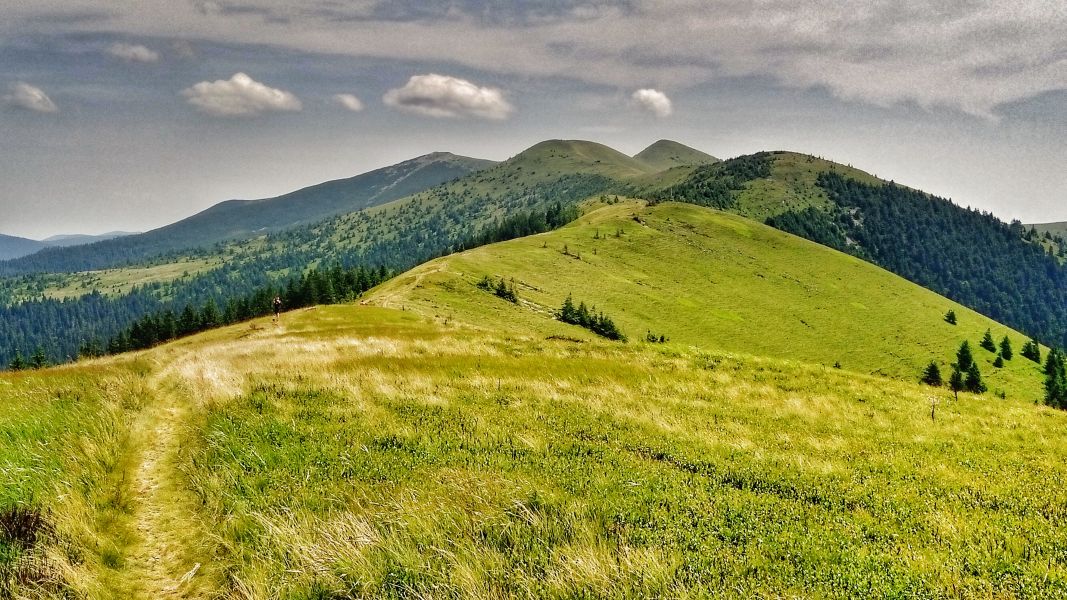 Wąską ścieżką na Negrowiec (fot. Paweł Klimek)