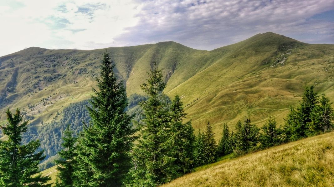 Przedwieczorny Negrowiec (fot. Paweł Klimek)