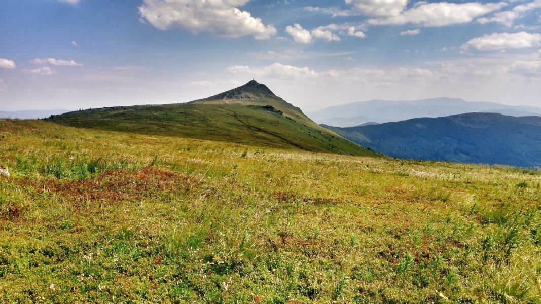 Pikuj z oddali (fot. Paweł Klimek)