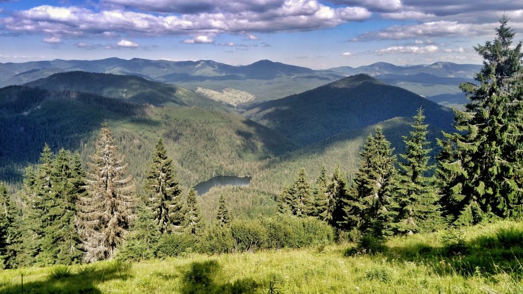 Widok na Jezioro Synewyrskie (fot. Paweł Klimek)