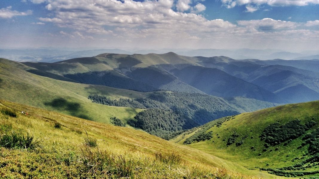 Lato na połoninie Borżawa (fot. Paweł Klimek)