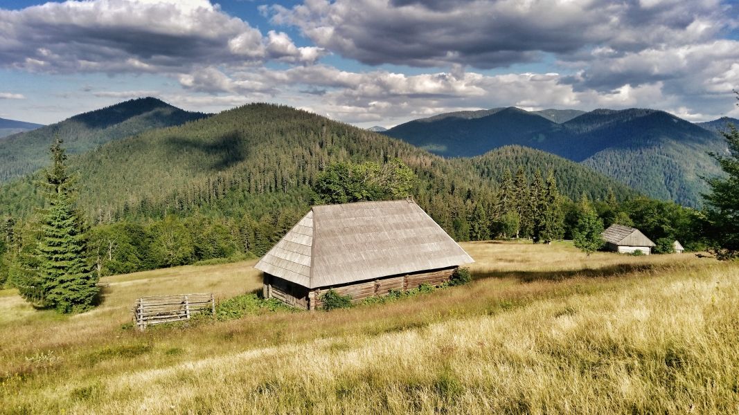Pod szczytem Ozirnej w Gorganach (fot. Paweł Klimek)