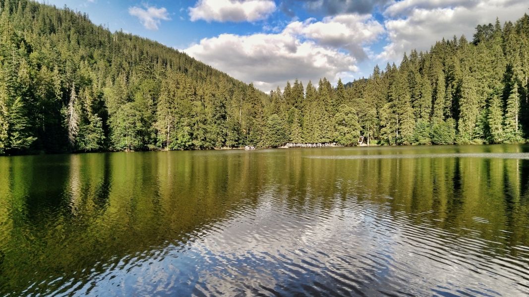 Nad jeziorem Synewyrskim (fot. Paweł Klimek)
