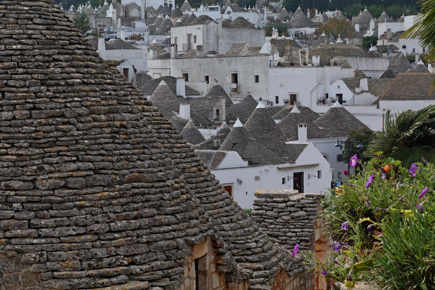 Alberobello,  fot. T. Liptak