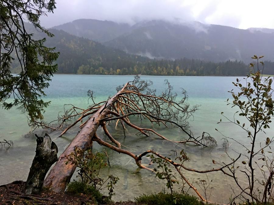 Nad Weisensee (fot. Paweł Klimek)