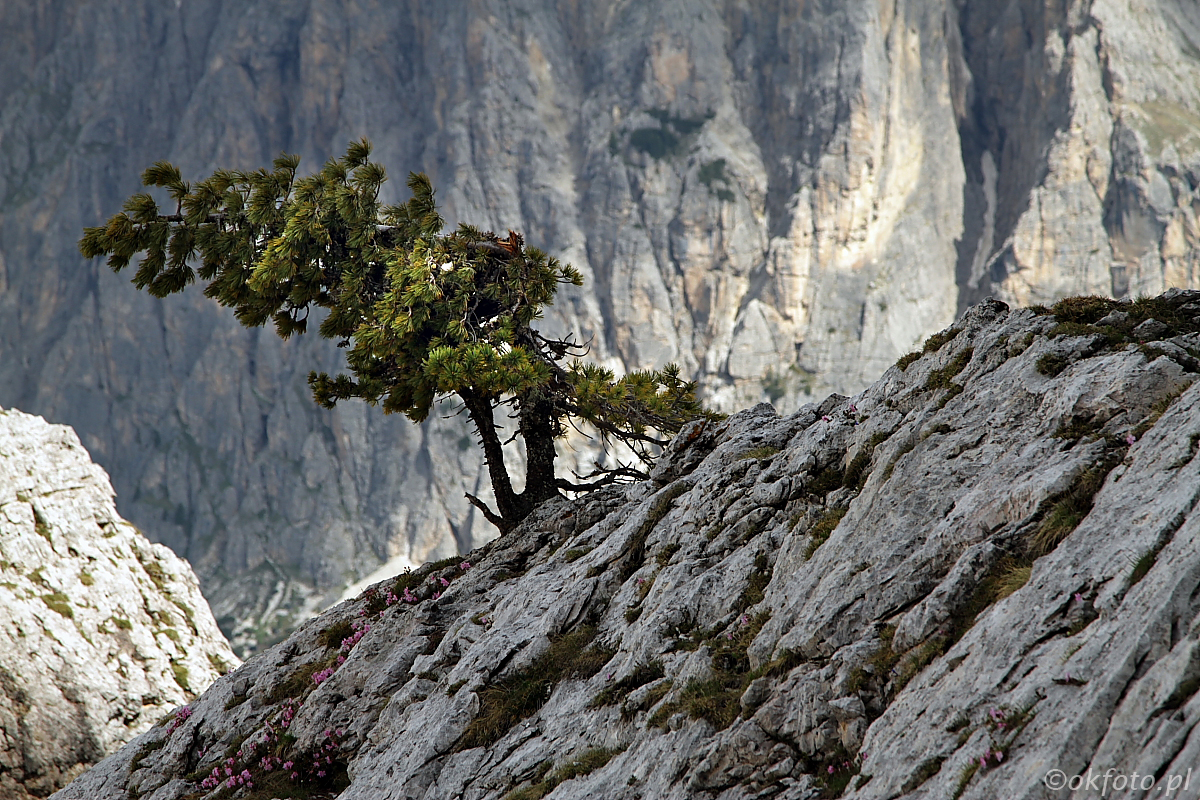 W Dolomitach, fot. S. Adamczak, okfoto.pl