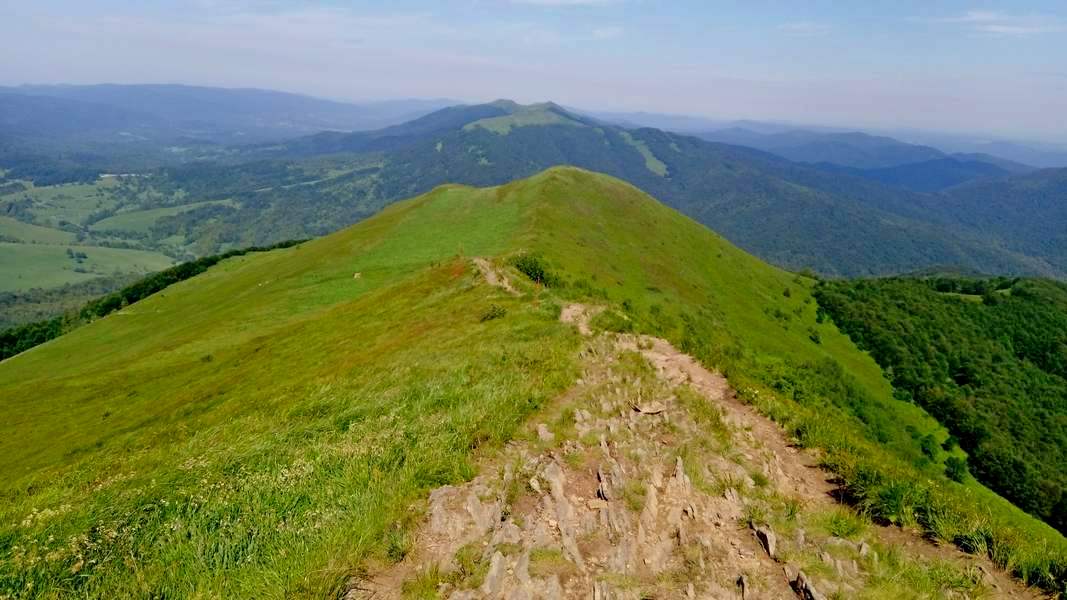 Soczysta zieleń Połoniny Caryńskiej (fot. Paweł Klimek)