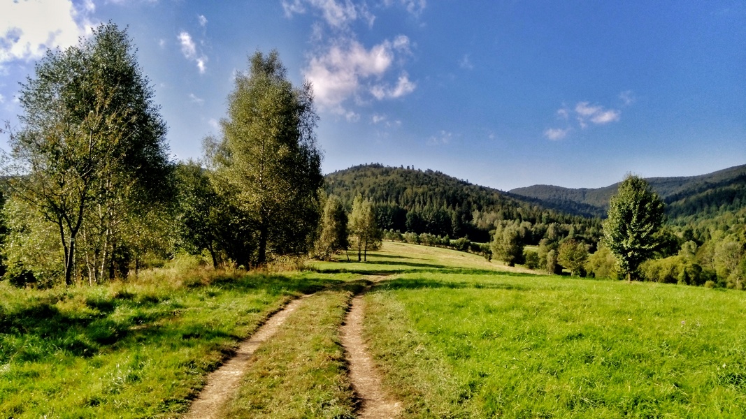 W stronę Jasła (fot. Paweł Klimek)