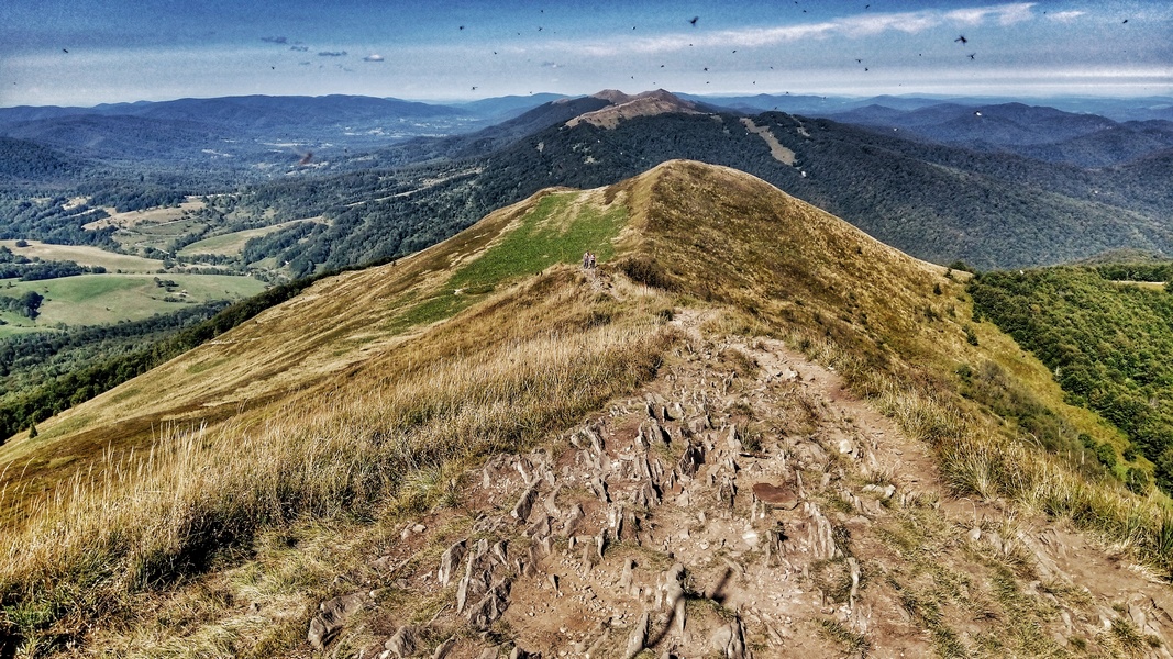 Na szczycie Połoniny Caryńskiej - te ciemne kropki to małe muszki (fot. Paweł Klimek)