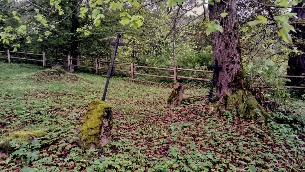 Stary cmentarz w nieistniejącej wsi Tworylne (fot. Paweł Klimek)