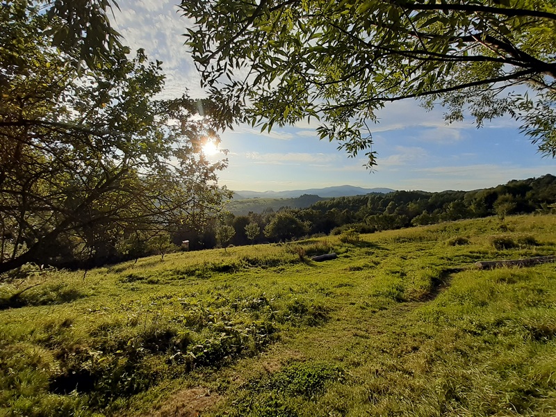 Wędrówki po Beskidzie Sądeckim (fot. Estera Motyl)