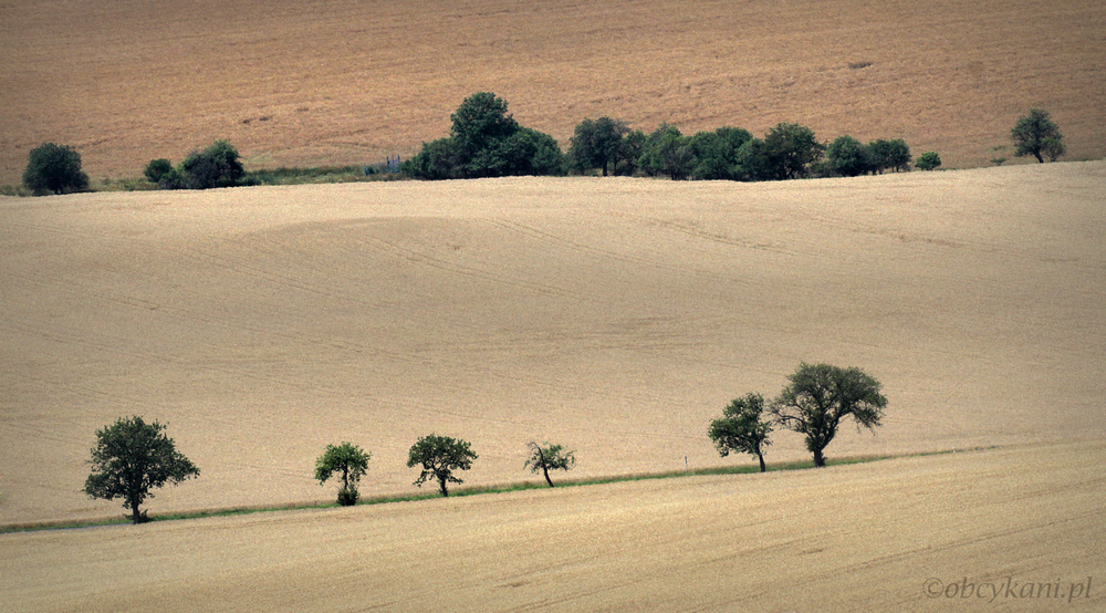Czeskie Średniogórze /fot. K. Borońska/