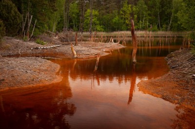 Kolorowe jezioro w Geoparku (fot. S. Adamczak, okfoto.pl)