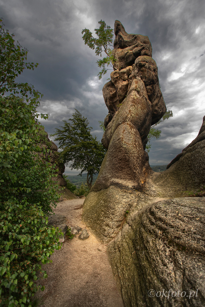 Rudawy /fot. S. Adamczak/