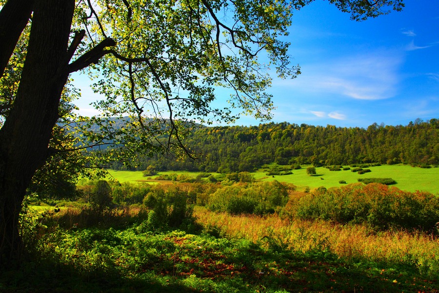 fot. Przemek Kunysz
