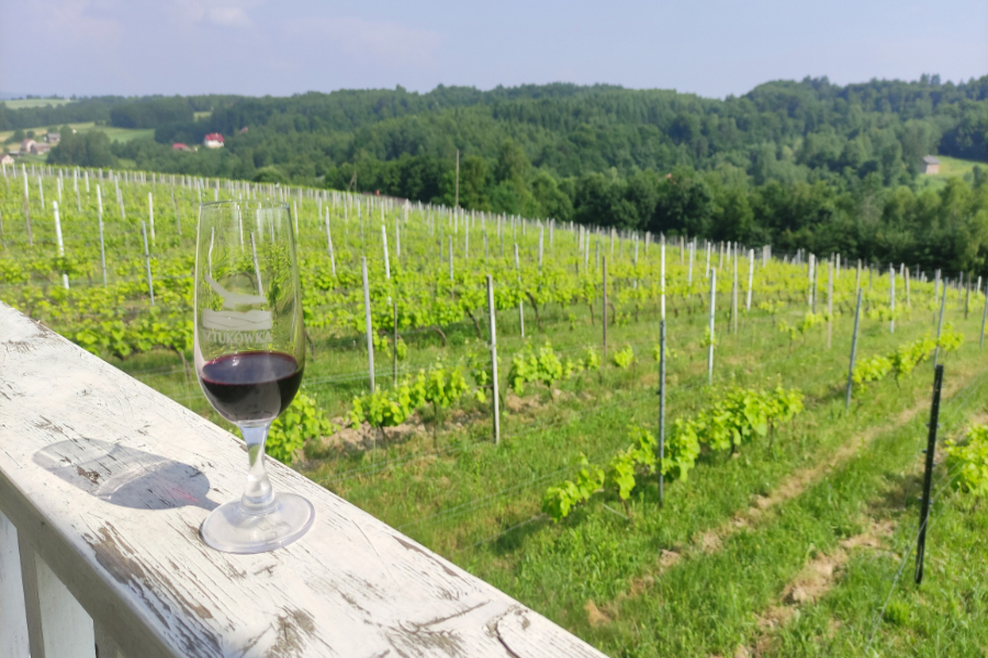 Podkarpackie wino