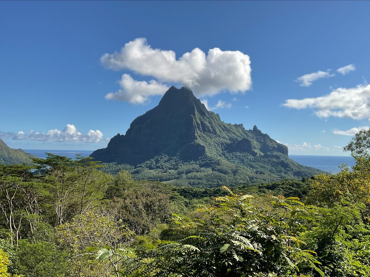 Góra Rotui na wyspie Mo'orea  (fot. Maciej Głabuś)