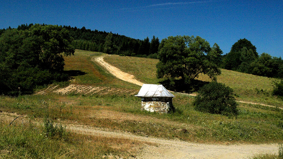 fot. Paweł Klimek