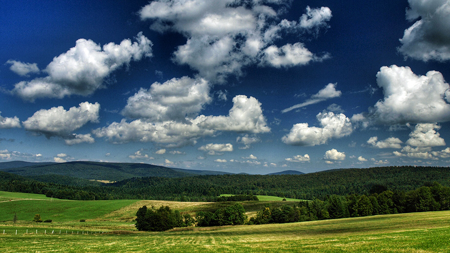 fot. Paweł Klimek