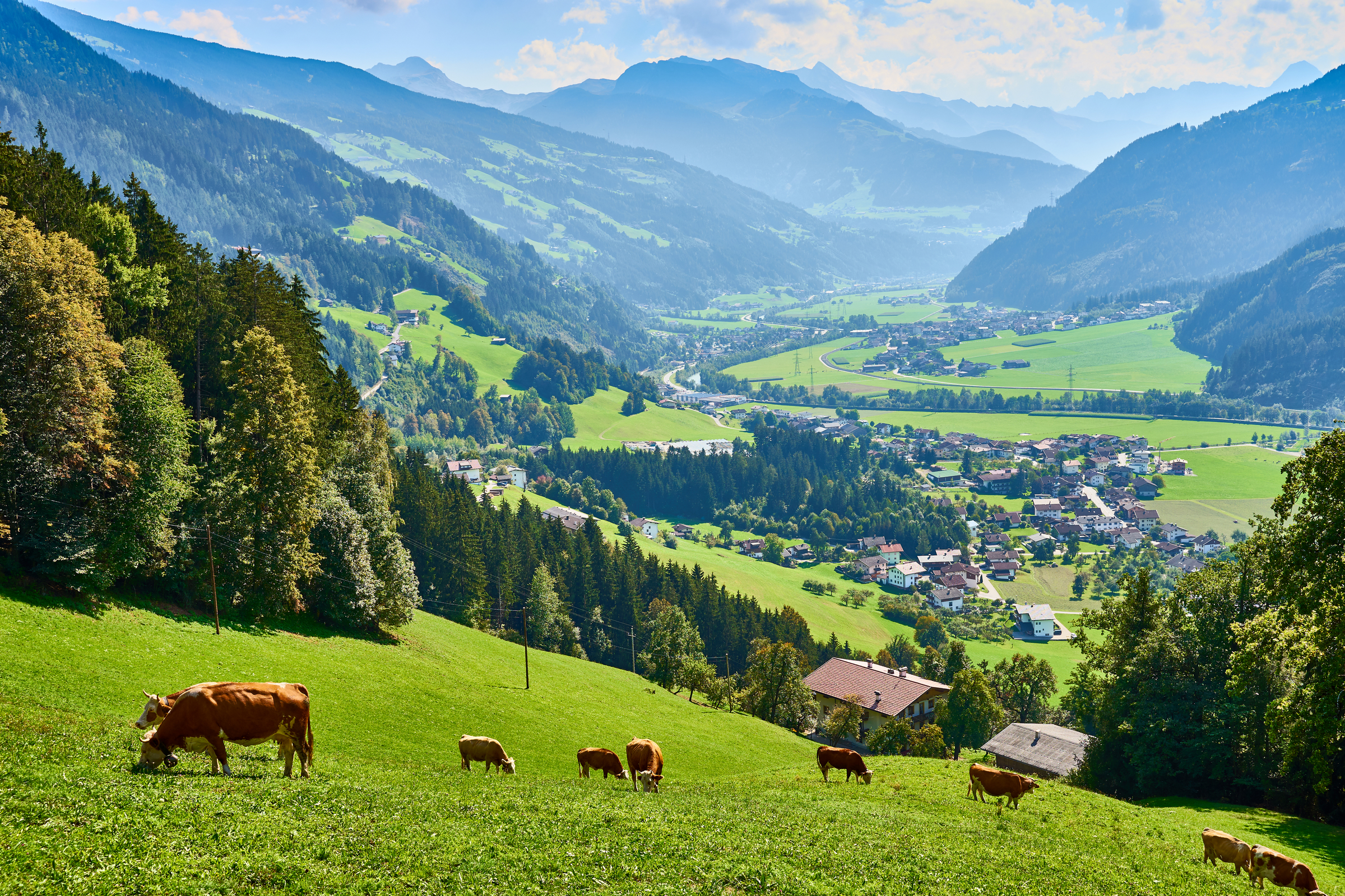 Widok na dolinę Zillertal