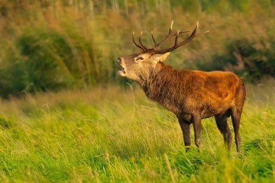 fot. Paweł Czapczyk