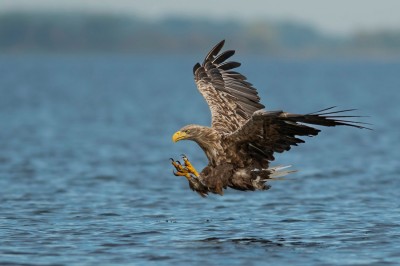 fot. Paweł Czapczyk