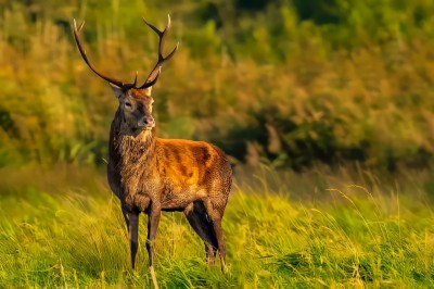 fot. Paweł Czapczyk