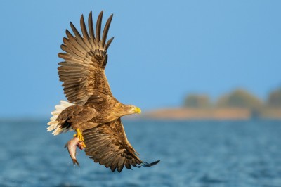 fot. Paweł Czapczyk