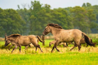 fot. Paweł Czapczyk