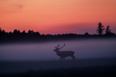 fot. Paweł Czapczyk