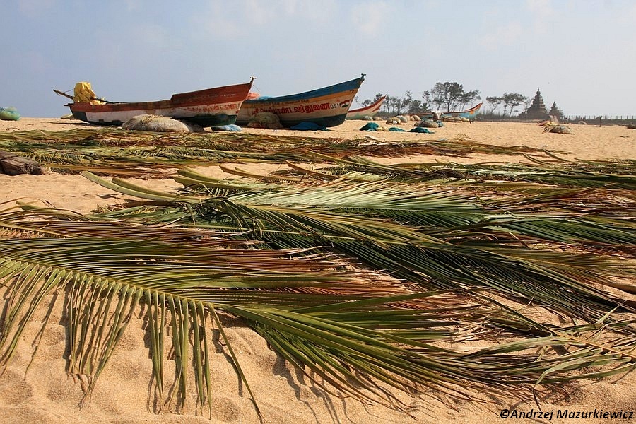 Plaża w Mamallapuram