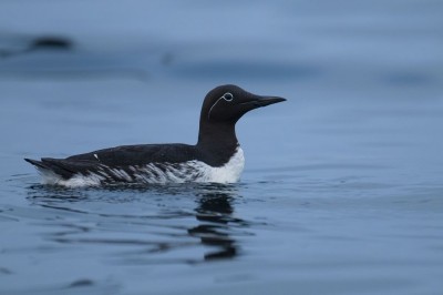 fot. Paweł Czapczyk