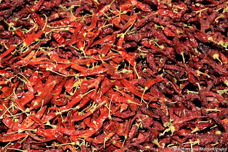 Susząca się papryczka chili - będzie piekło!