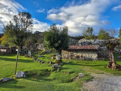 fot. Sebastian Kopera