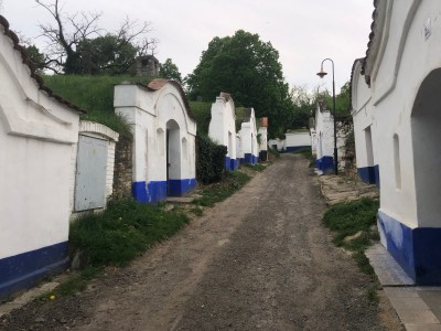 Stare piwniczki na wino niedaleko Sudomierzyc (fot. Paweł Klimek)
