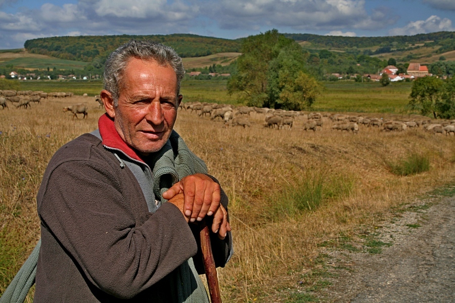 często w Rumunii można spotkać jeszcze pasterzy, fot. T. Liptak