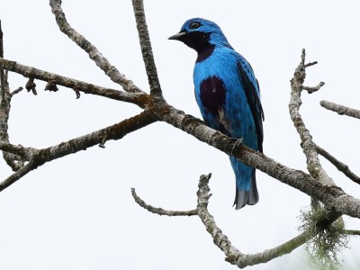 fot. Hubert Stelmach