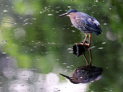 fot. Hubert Stelmach