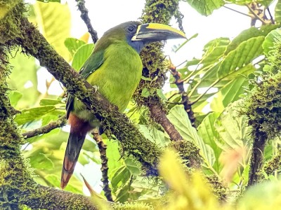 fot. Witold Muchowski