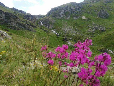 Górskie kaskady w dolinie potoku Brod. Trasa na Rudokę (2658 n.p.m.) (fot. Adam Fijołek)