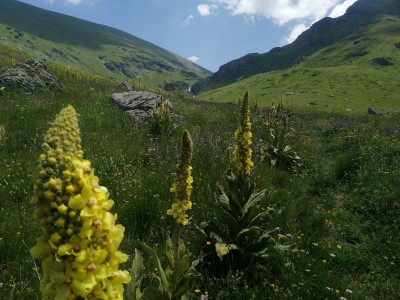 W drodze na Wielką Rudokę (2658 n.p.m.). Dolina potoku Brod (fot. Adam Fijołek)