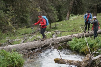 Przeprawa przez potok