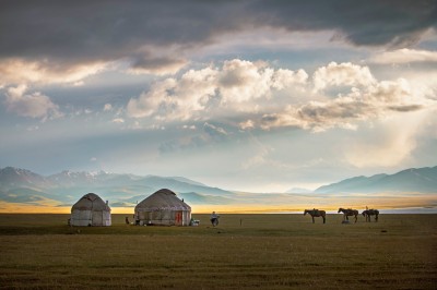 Jurty i konie (fot. S. Adamczak, okfoto.pl)