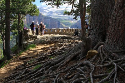 Dolina Ordesy, fot. T. Liptak