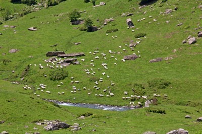 Na pirenejskiej hali, fot. T. Liptak