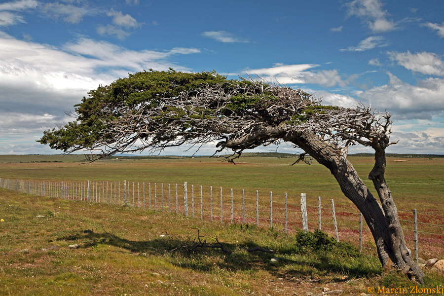 Wiatr w Patagonii