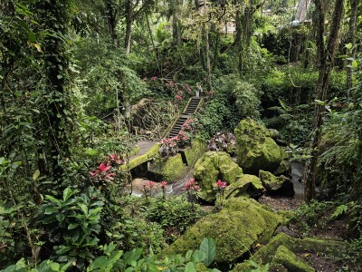 Wspaniała zieleń na Bali, fot. M. Olszewska