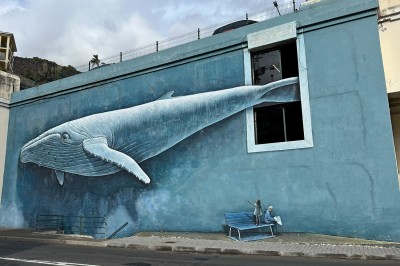 mural w centrum Funchal, fot. T. Liptak
